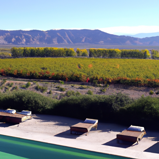 Escape to Argentinaâs Wine Country at Entre Cielos Wine Hotel + Spa in Mendoza